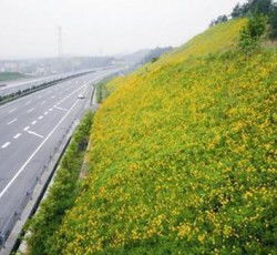 價(jià)格 廠家 