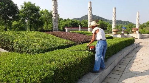 無錫一公司招聘要求60歲男性優(yōu)先 回應 系綠化養(yǎng)護