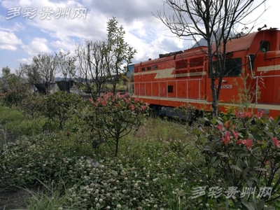 以綠為主以花為美 水鋼舊貌換新顏--六盤水市加大力度改善首鋼水鋼廠區環境打造&ldquo;花園式工廠&rdquo;