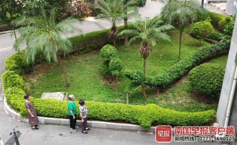 南寧綠化工人五年匠心打造動(dòng)物世界主題園林，綠色藝術(shù)驚艷全城