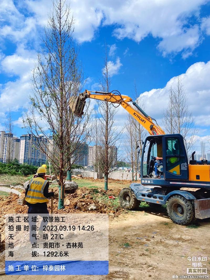 城市綠意的守護者 園林綠化工程苗木人的施工紀(jì)實